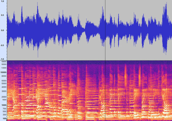 An Audacity audio track