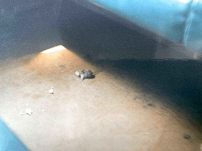 Always Worth Saying, Going Postal