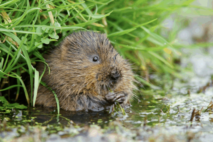Worthing Gooner, Going Postal