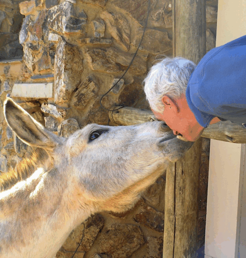 Worthing Gooner, Going Postal