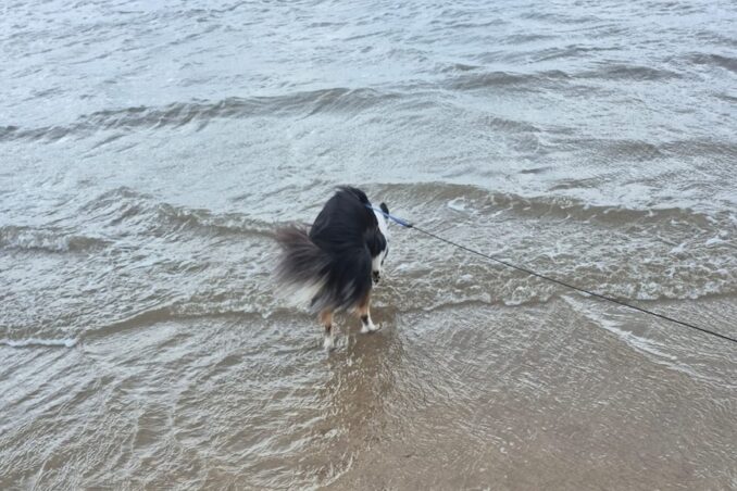 John Tull, Going Postal