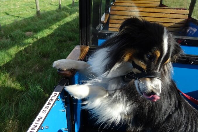 John Tull, Going Postal