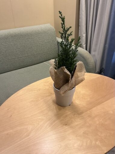 WorthingGooner, Going Postal