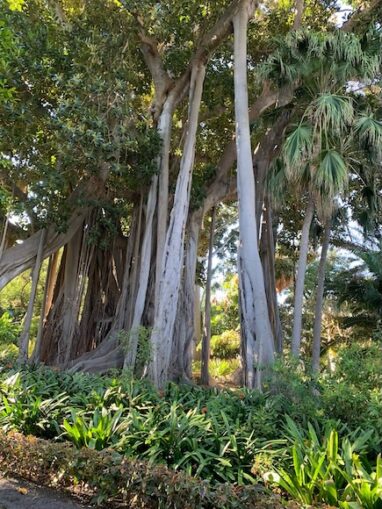 WorthingGooner, Going Postal