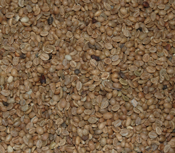 AÑO NUEVO, Going Postal