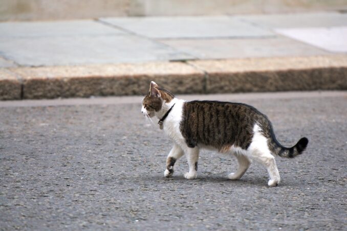 Worthing Gooner, Going Postal