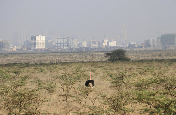 AW Kamau, Going Postal