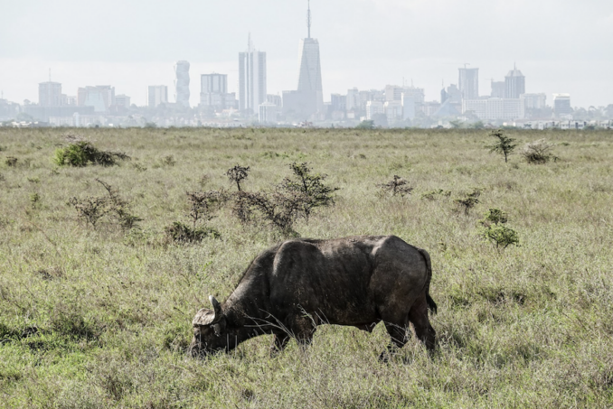 AW Kamau, Going Postal